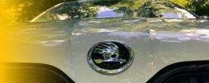 Nahaufnahme eines Škoda-Logos auf der Motorhaube eines Autos, umgeben von reflektierenden Bäumen im Hintergrund.